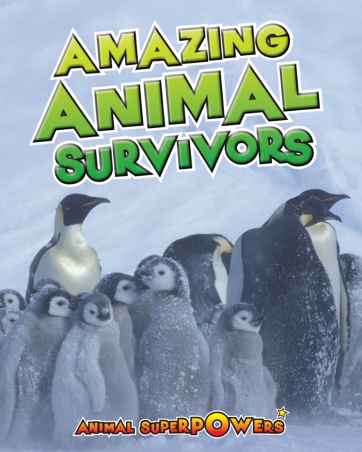 Amazing Animal Survivors