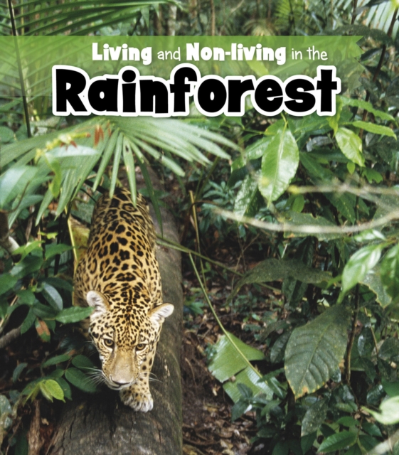 Living and Non-living in the Rainforest