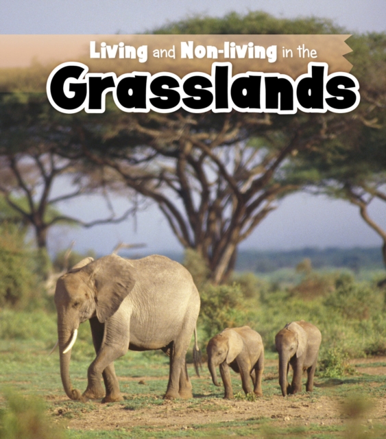 Living and Non-living in the Grasslands