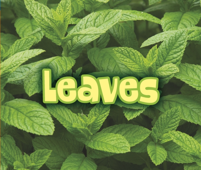 All About Leaves