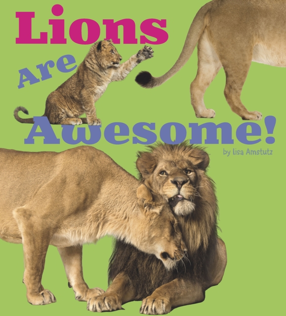 Lions Are Awesome!