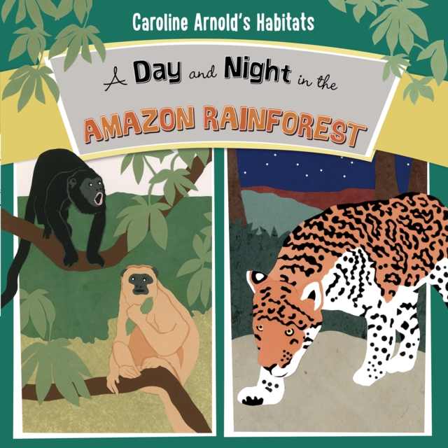 Day and Night in the Amazon Rainforest
