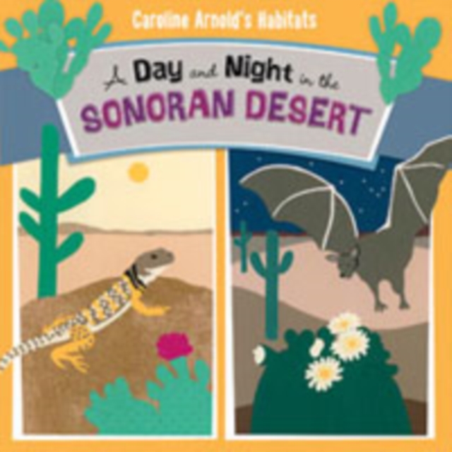 Day and Night in the Sonoran Desert