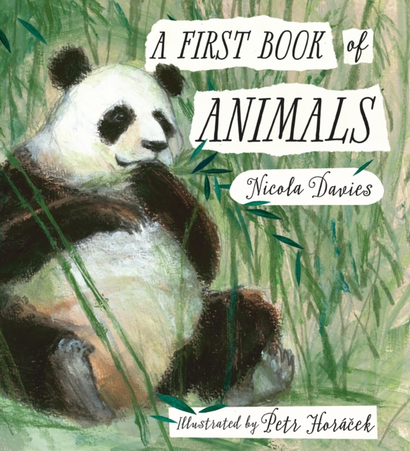 First Book of Animals