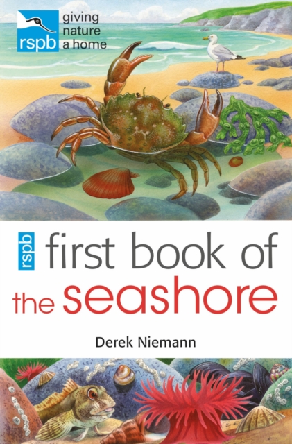 RSPB First Book Of The Seashore