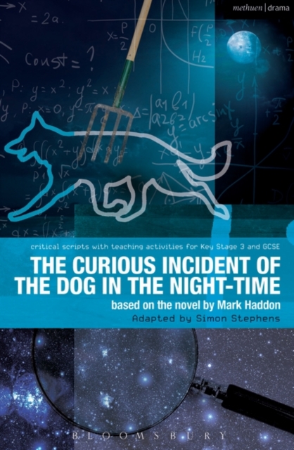 Curious Incident of the Dog in the Night-Time
