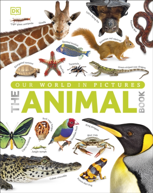 Our World in Pictures The Animal Book