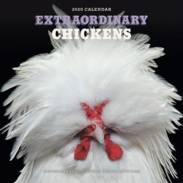 Extraordinary Chickens 2020 Wall Calendar