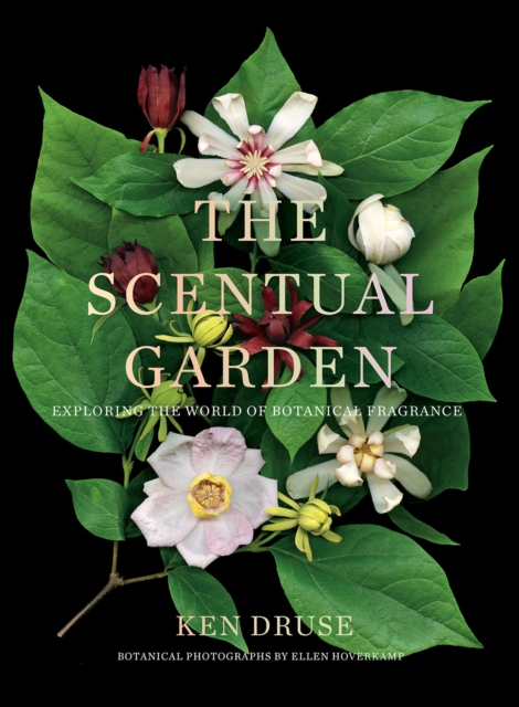 Scentual Garden: Exploring the World of Botanical Fragrance