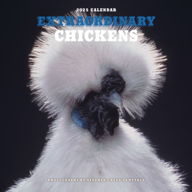 Extraordinary Chickens 2025 Wall Calendar