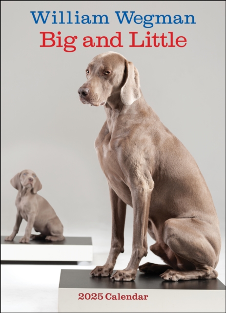 William Wegman Big and Little 2025 Wall Calendar