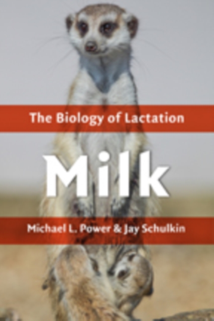 Milk