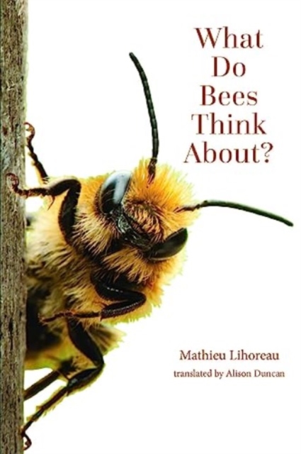 What Do Bees Think About?