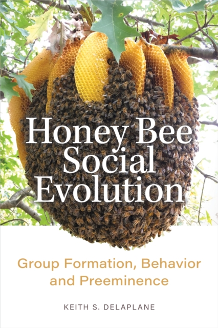 Honey Bee Social Evolution