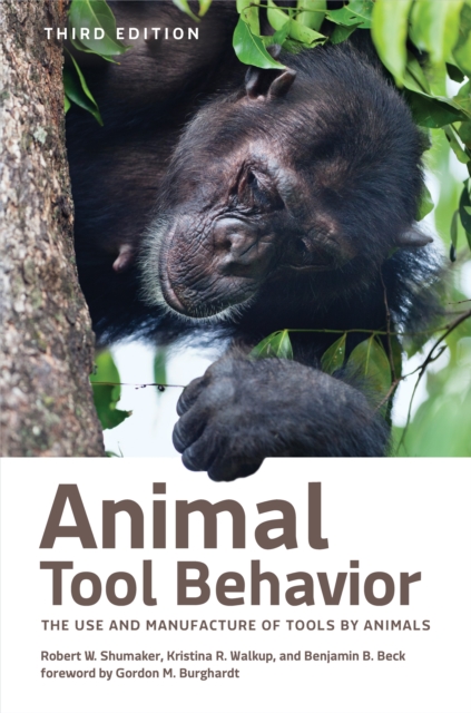 Animal Tool Behavior