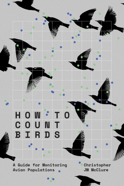 How to Count Birds