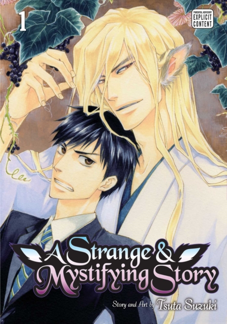 Strange & Mystifying Story, Vol. 1