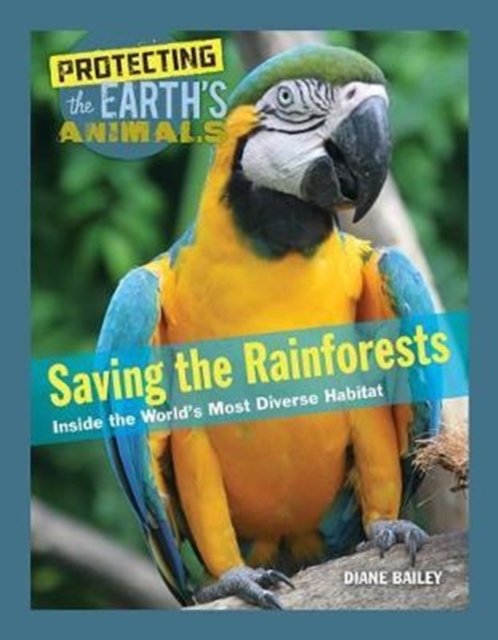 Saving the Rainforests
