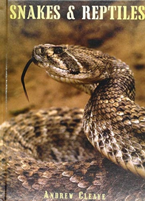 Snakes & Reptiles