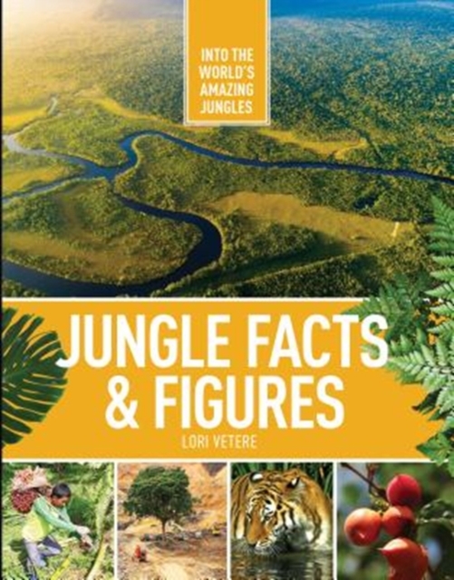 Jungle Facts & Figures