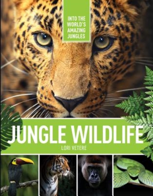 Jungle Wildlife