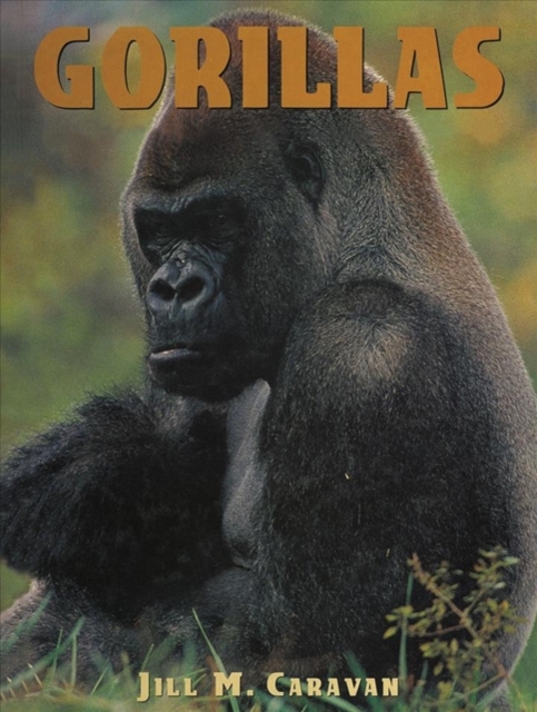 Gorillas