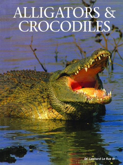 Alligators and Crocodiles