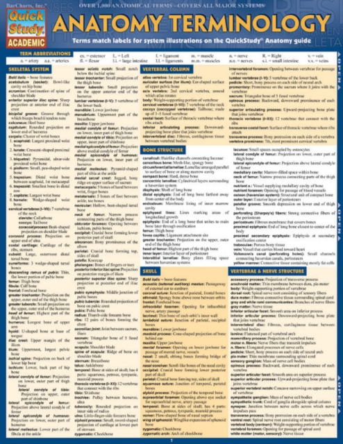 Anatomy Terminology Reference