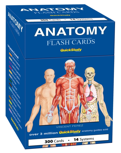 Anatomy Flash Cards (300 Cards)