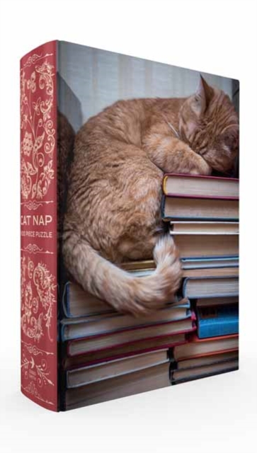 Cat Nap Book Box Puzzle