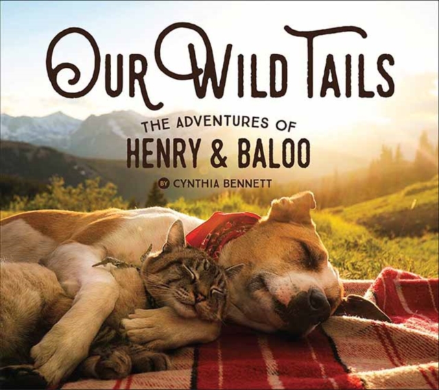 Our Wild Tails