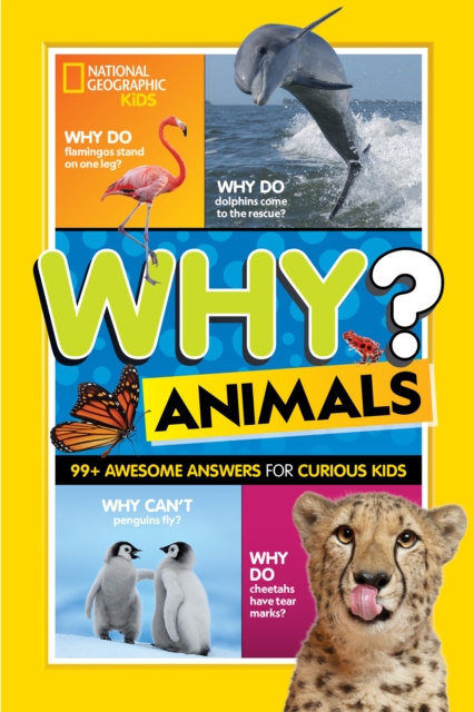 Why? Animals