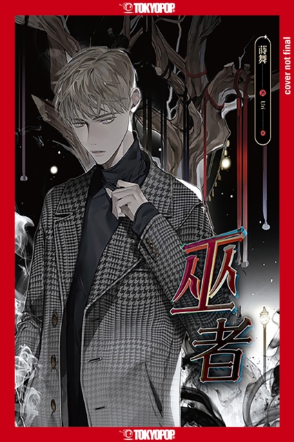 Wizard (Novel)