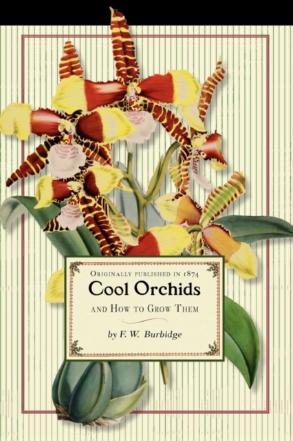 Cool Orchids (Trade)