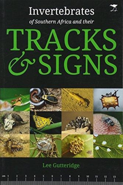 Invertebrates of Southern Africa & their Tracks and Signs