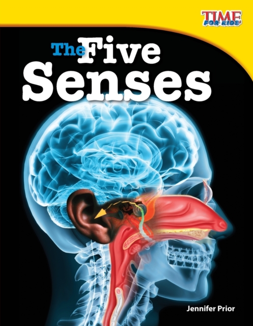 Five Senses