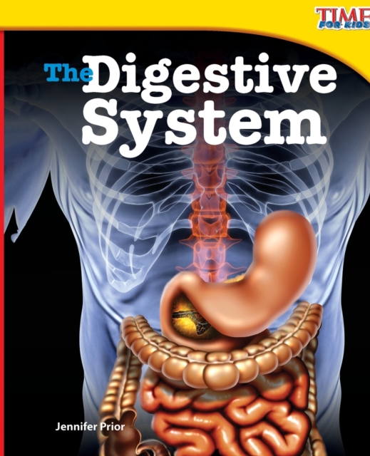 Digestive System