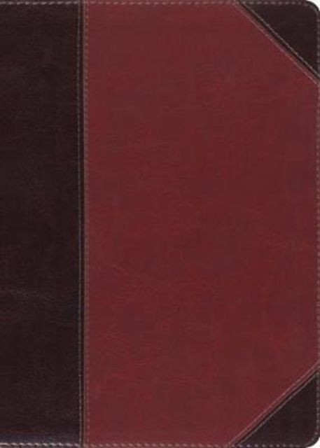 ESV MacArthur Study Bible