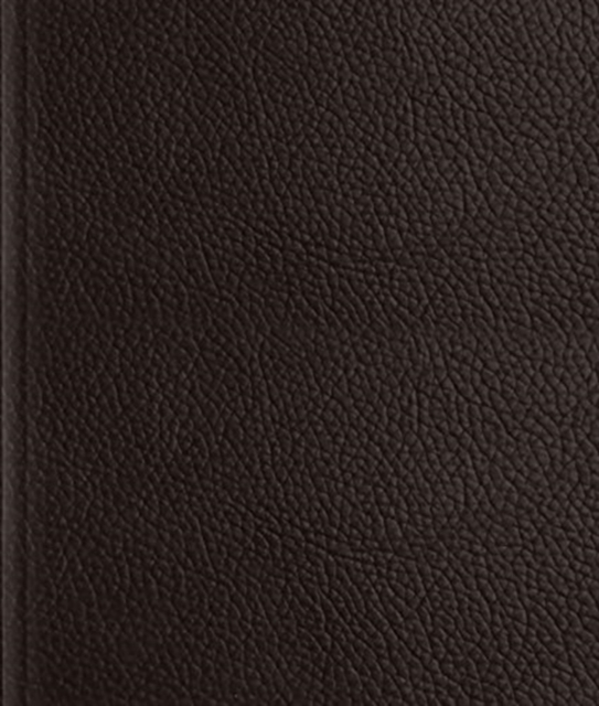 ESV Journaling Bible