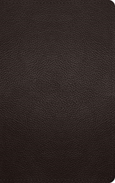 ESV Large Print Personal Size Bible