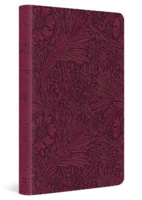 ESV Large Print Value Thinline Bible