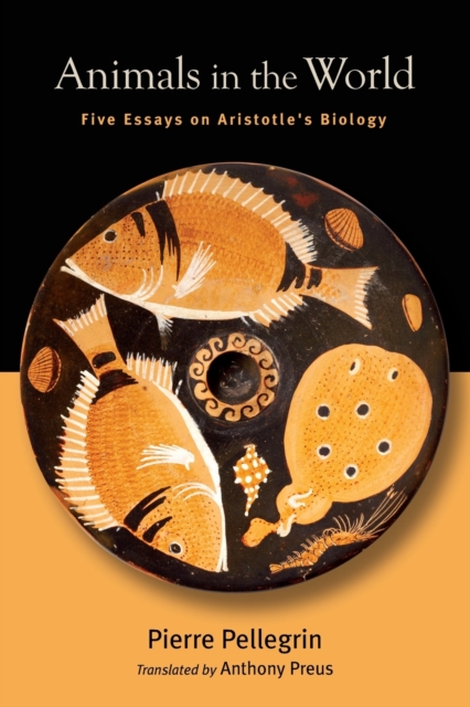 Animals in the World