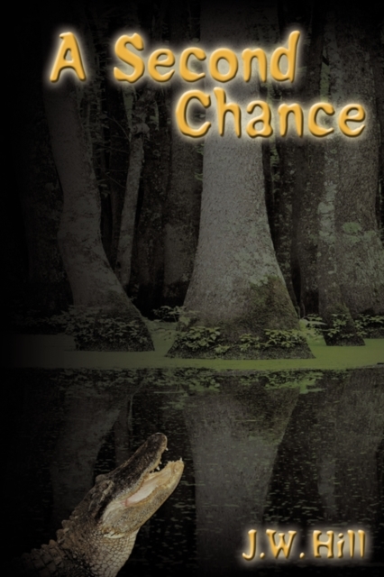 Second Chance