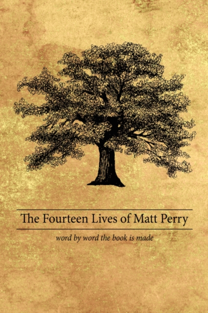 Fourteen Lives of Matt Perry