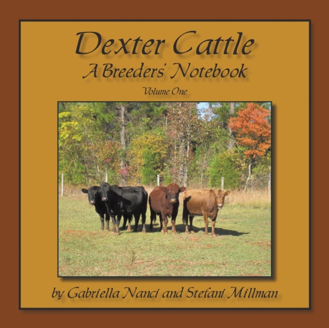 Dexter Cattle