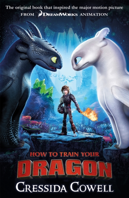 How to Train Your Dragon FILM TIE IN (3RD EDITION)