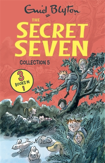 Secret Seven Collection 5