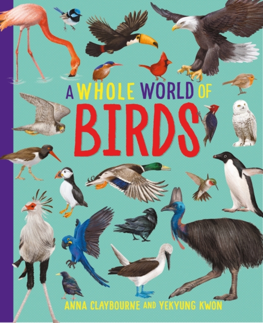 Whole World of...: Birds