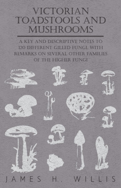 Victorian Toadstools and Mushrooms - A Key and Descriptive Notes to 120 Different Gilled Fungi, With Remarks on Several Other Families of the Higher Fungi