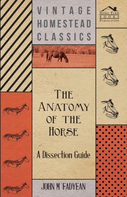 Anatomy of the Horse - A Dissection Guide